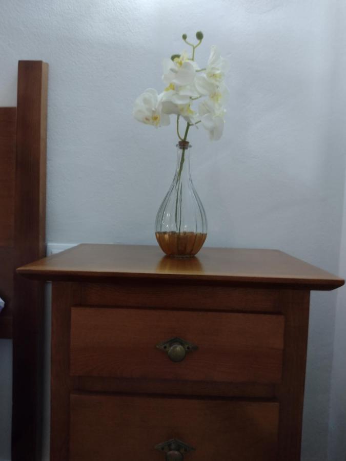 Living Benidorm. Playa Levante Apartament