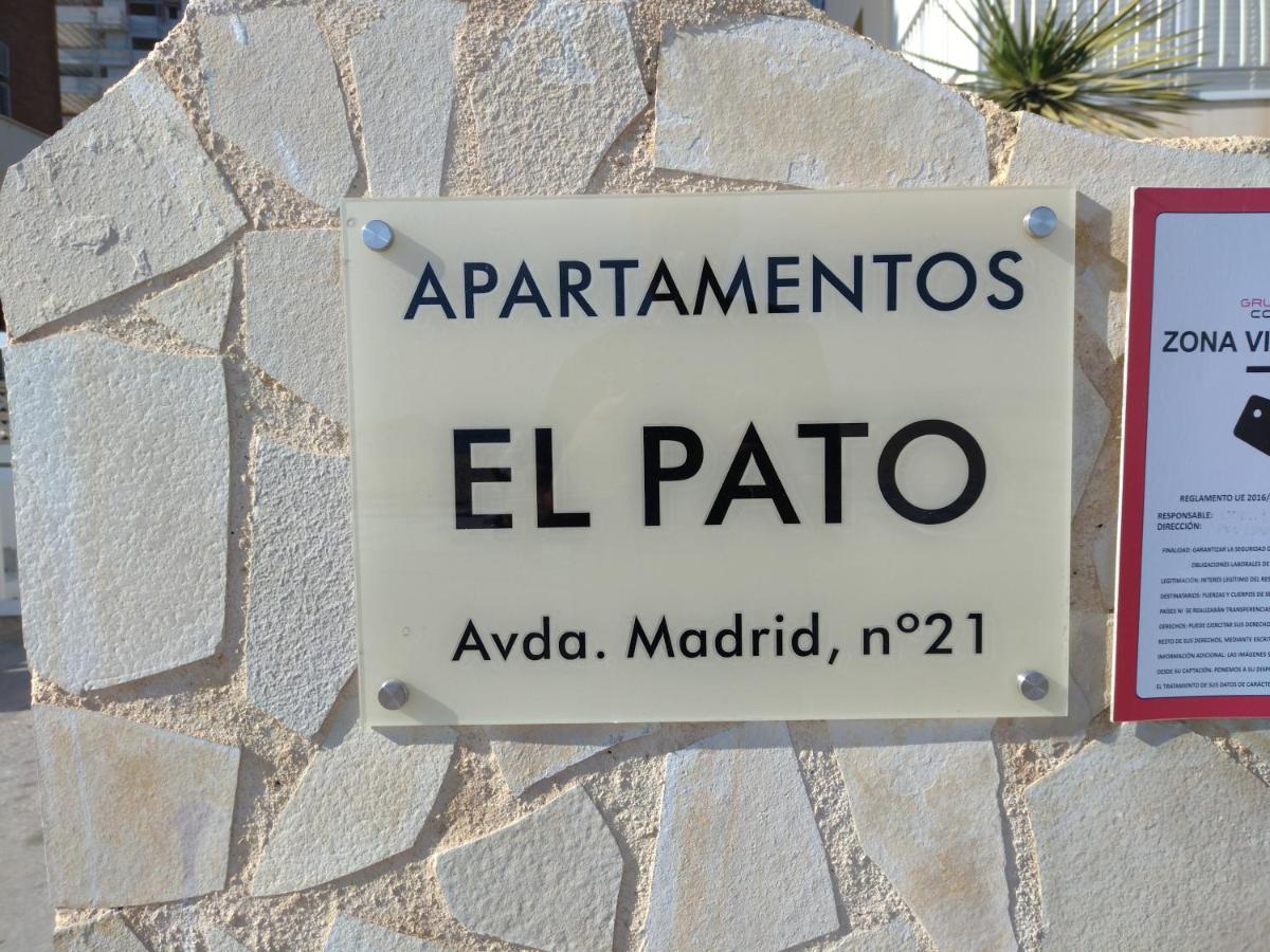 Appartamento Living Benidorm. Playa Levante *